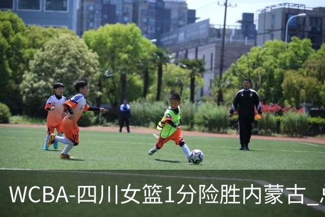 WCBA-四川女篮1分险胜内蒙古 总比分2-1夺冠